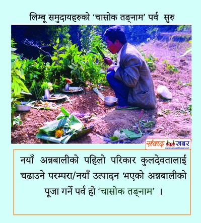 लिम्बू समुदायहरुको  ‘चासोक तङ्नाम’ पर्व सुरु