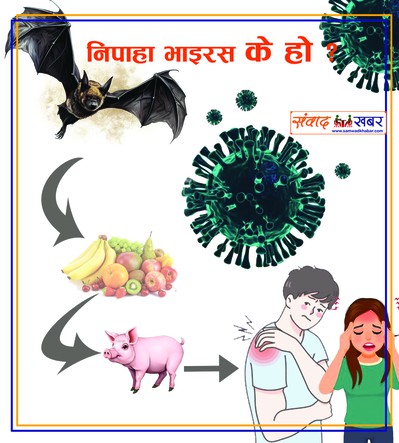 निपाहा भाइरसको सङ्क्रमण रोक्न अन्तरिम निर्देशिका