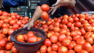 एकै सातामा धेरै  घट्यो गोलभेँडाको मूल्य