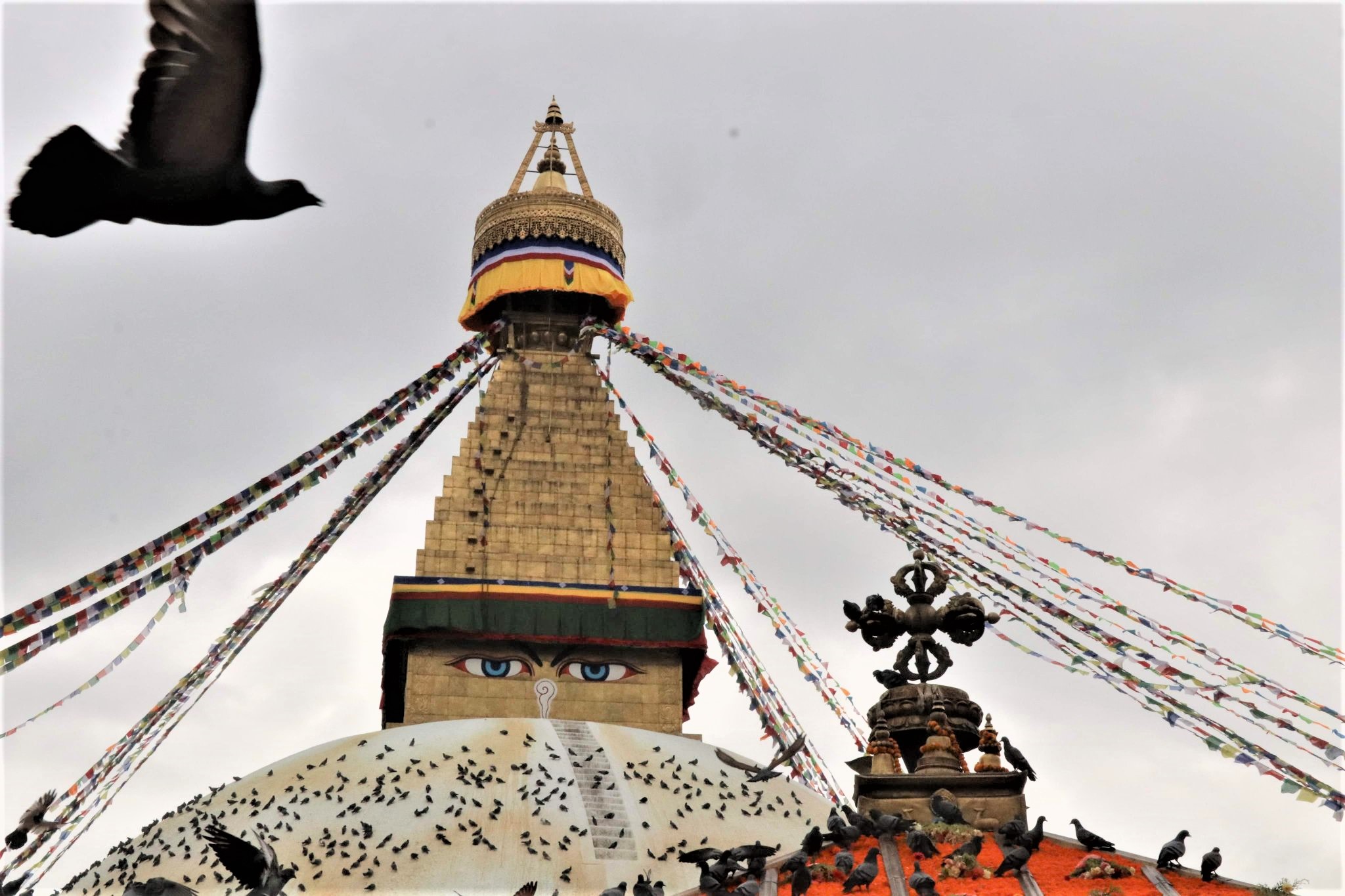 आज बौद्धमा भव्य रुपमा घोनाई (रोपाइँ जात्रा) मनाइदै