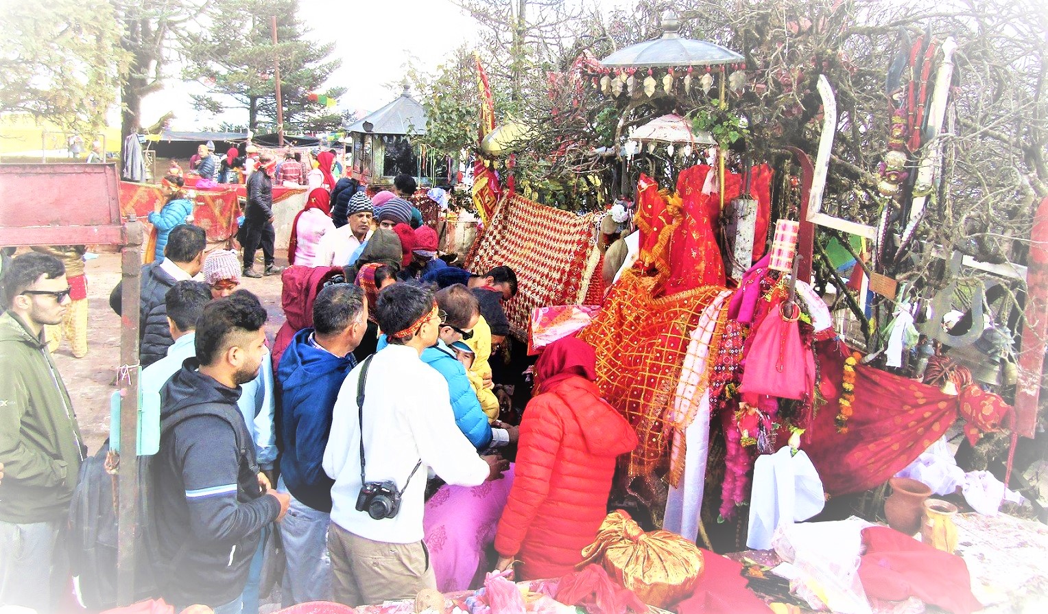 १७८ तोला सुन र ५ हजार २९८ तोला चाँदी बिक्री गर्दै पाथीभरा क्षेत्र विकास समिति